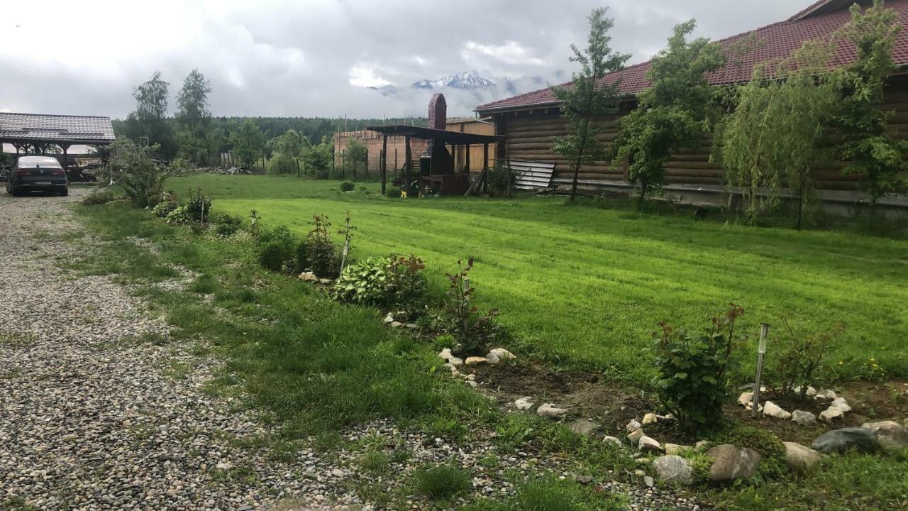 Casa Albert Valea Avrigului Exterior foto