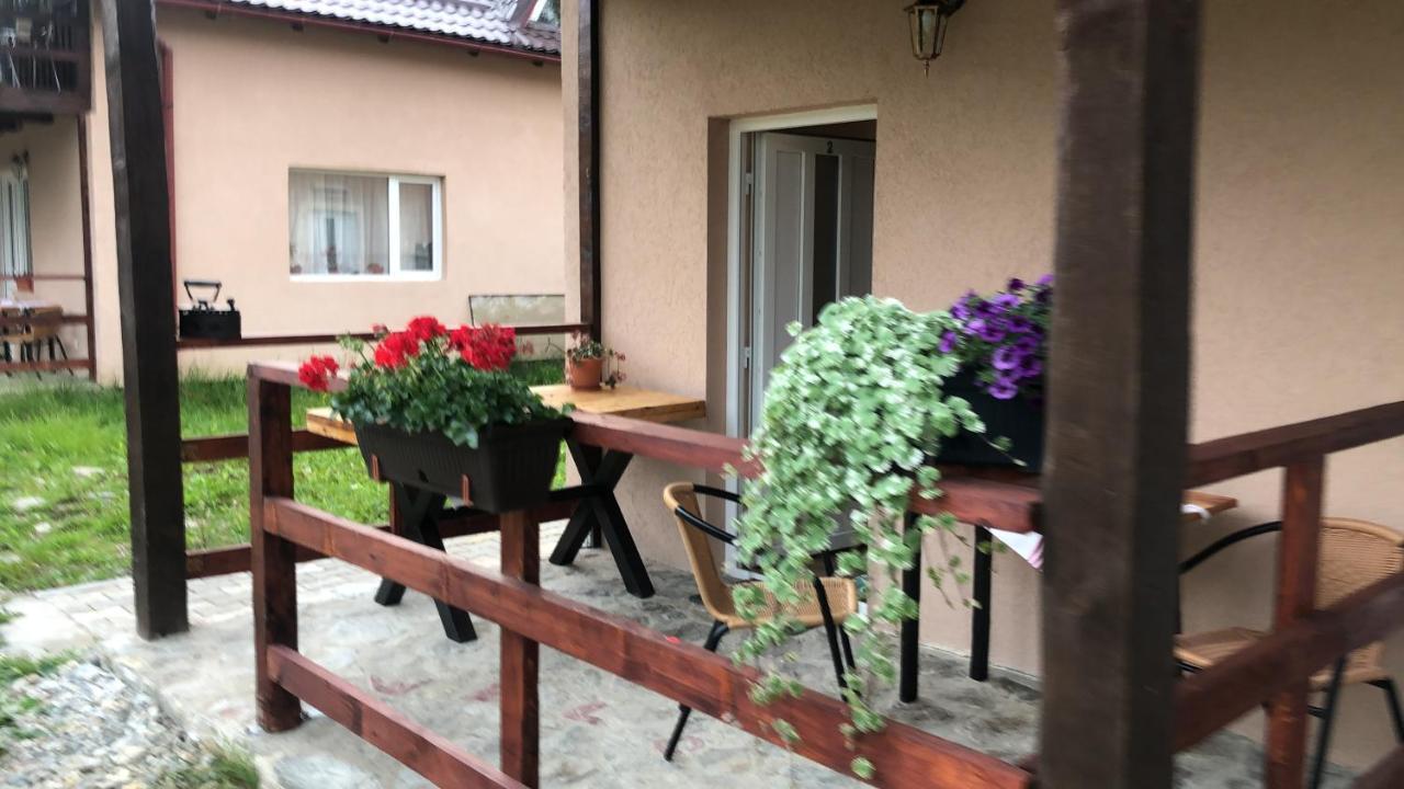 Casa Albert Valea Avrigului Exterior foto